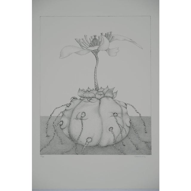 Gochka Charewicz, L'éclosion, Lithograph For Sale - Image 8 of 8