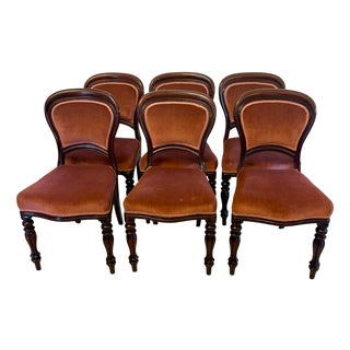 Antique Victorian Mahogany Dining Chairs with Tulip Legs, 1860, Set of 6 For Sale