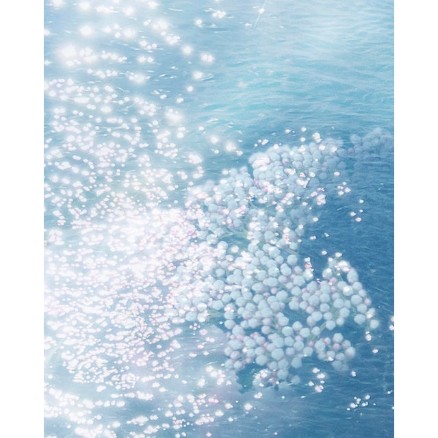 Let your walls breathe with Land, Sea + Air, a fine art photograph by Niqui Carter that distills earth’s raw elements into...