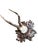 Roe Deer Trophy with wood carved plaque.