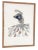 Post War Tropical Nude Color Pencil Drawing Signed Schultz For Sale In Los Angeles - Image 6 of 6