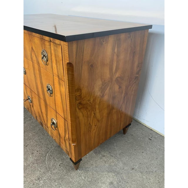 Wood Biedermeier Chest of Drawers in Walnut, 1820 For Sale - Image 7 of 14
