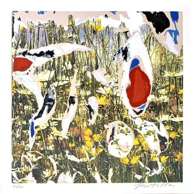 Mimmo Rotella Field No. 9 Color silkscreen and collage on Fedrigoni Watercolor paper, 360 g This work is part of the...