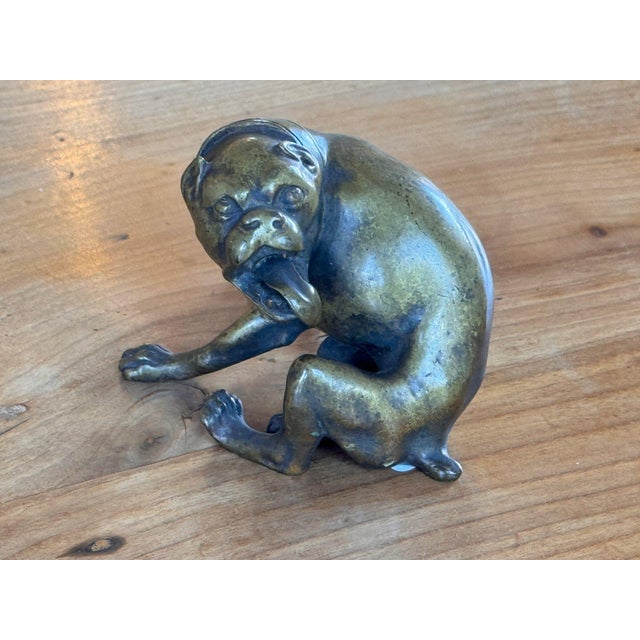 19th century Austrian bronze bulldog seated back on his haunches with one foreleg stretched forward, head cocked and...