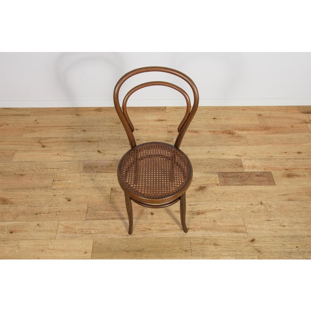 No. 14 Chairs by Michael Thonet for Josef Hoffmann, 1900s, Set of 4 For Sale - Image 10 of 18