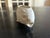 Fish in Biscuit from Heubach & Co, 1940s For Sale - Image 4 of 10