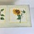 1970s Vintage Arts & Crafts Farmhouse Sunflower Folk Art Painted Pine Bench. For Sale - Image 6 of 18