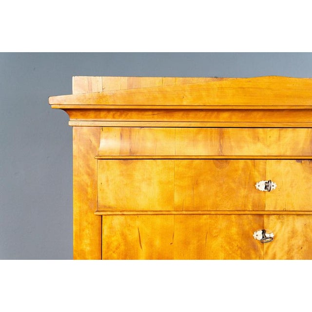 Biedermeier Birch & Elm Secretary For Sale - Image 15 of 18