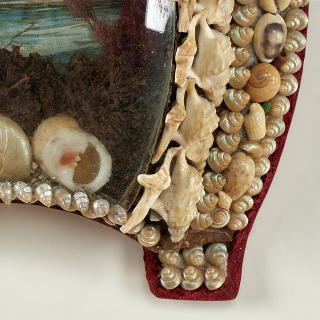 Shell Antique British Colonial Sailors Valentine For Sale - Image 7 of 10