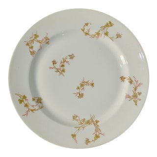 Vintage Haviland & Co. Limoges Porcelain Plate For Sale