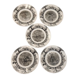 Mid 20th Century Wedgwood Etruria Kruger National Park Jungle Animal Dinner Plates - Set of 5 For Sale