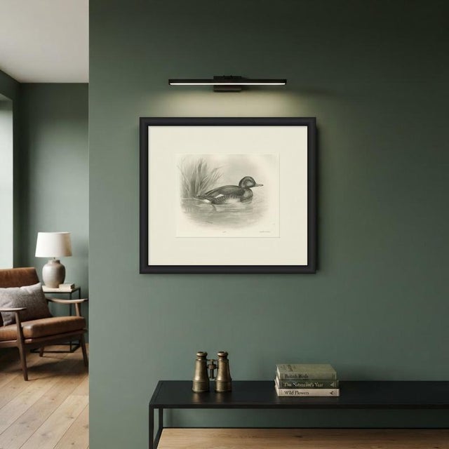 Paper After Lilian Medland, Diving Duck, 1909, Print For Sale - Image 7 of 9