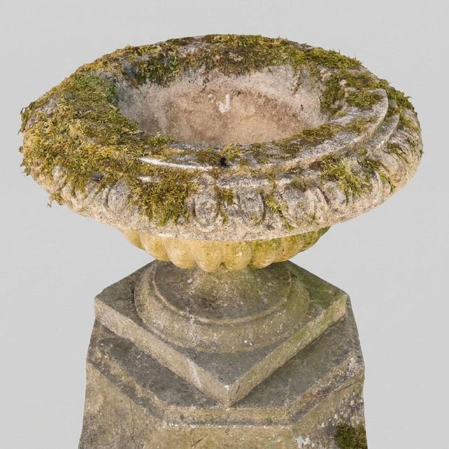 English Garden Basin on Patinated Stone Pedestal, 1920s For Sale - Image 6 of 16