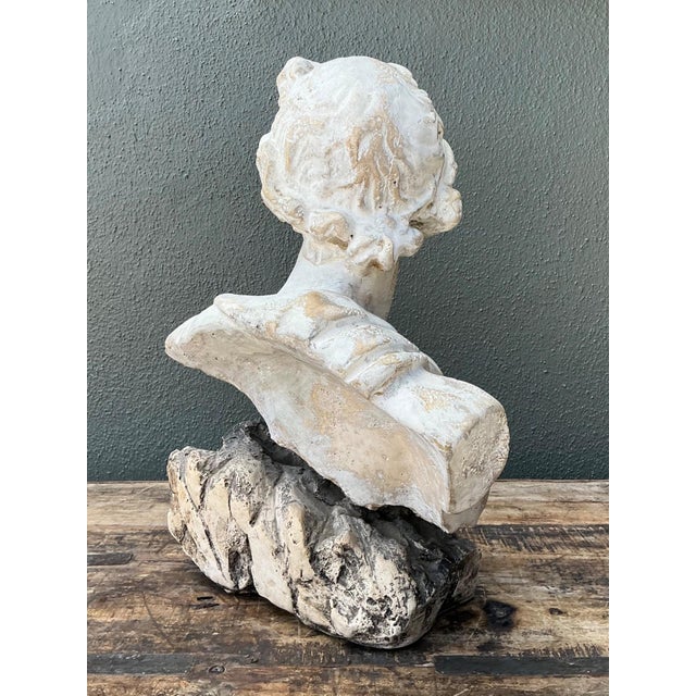 This striking cast stone bust captures the timeless serenity of the Apollo Belvedere, an iconic masterpiece of classical...