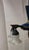 Dagobert Peche 1910s Blue Chandelier With 5 Frosted Glass Shades - Dagobert Peche For Sale - Image 4 of 12