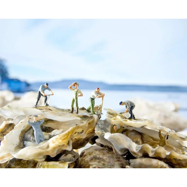 Contemporary Oysters by Matthew Carden Print with Black Frame - 36 X 45 For Sale - Image 3 of 3