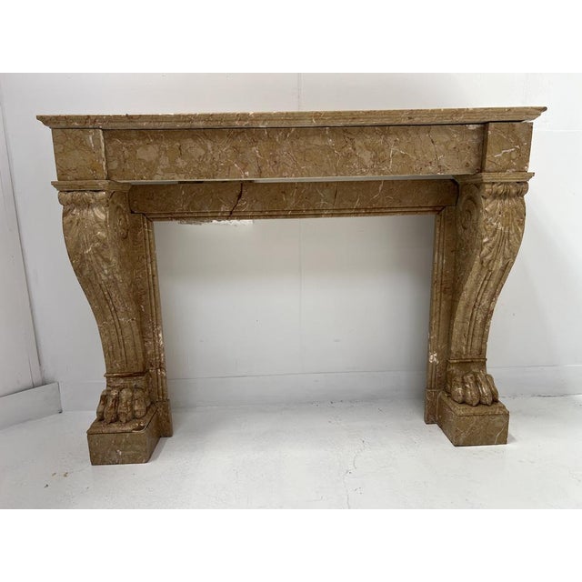 Napoleon III Fireplace with Claw Feet in Speckled Marble, 1800s For Sale - Image 4 of 18