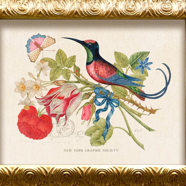 Illustration Reproduction Vintage Birds and Butterflies Art Print (Bird#4), Framed For Sale - Image 3 of 5