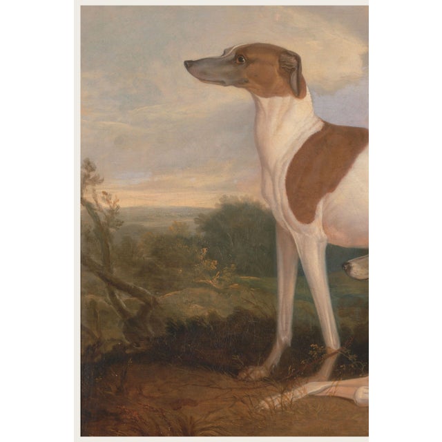 Vintage Greyhound Dog Art Print by Charles Hancock - 12" X 8" For Sale In Buffalo - Image 6 of 9