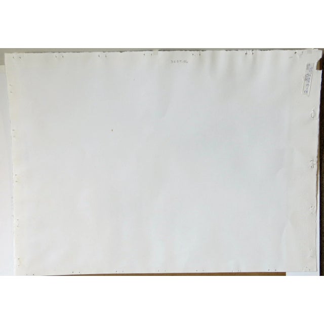 Barbara Ernst Prey Watercolor Painting, Griffin Hall, Williams College For Sale - Image 9 of 12