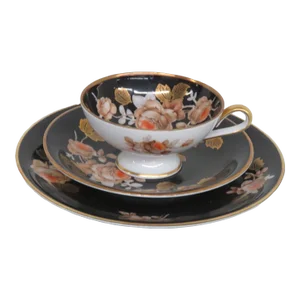 Rudolf Wachter Kirchenlamitz Porcelain Floral Tea Cup Saucer Dessert Plate
