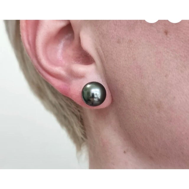 2020s 11 MM Tahitian Black Pearl Stud Earrings 14 Karat White Gold For Sale - Image 5 of 8