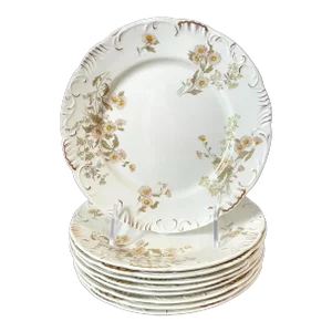 Henry Alcock & Co England Semi Porcelain Floral Daisy Salad or Dessert Plates Set of 9