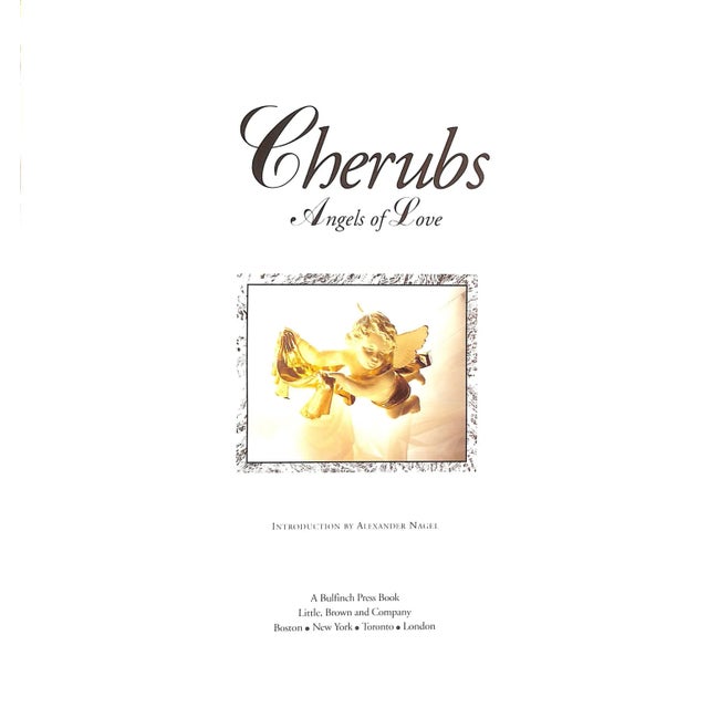 NAGEL, Alexander [introduction by] [128] pp. Bulfinch Press 1994 11 1/2" x 11" A collection of more than one hundred color...