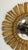 Mid 20th Century Spanish Gilt Sunburst or Starburst Convex Mirror (Diameter 21) For Sale - Image 5 of 12