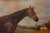 A. Ladd, Bay Horse, 20th Century, Oil on Board, Framed For Sale - Image 10 of 17