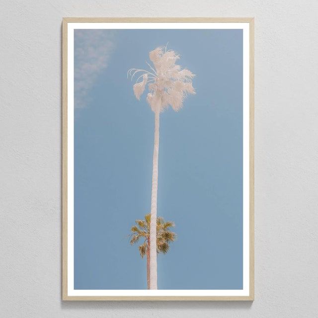 Together, We Rise (2015) by Tommy Lei Two palm trees ascend together in the vast blue sky. Photographed in Silver Lake,...