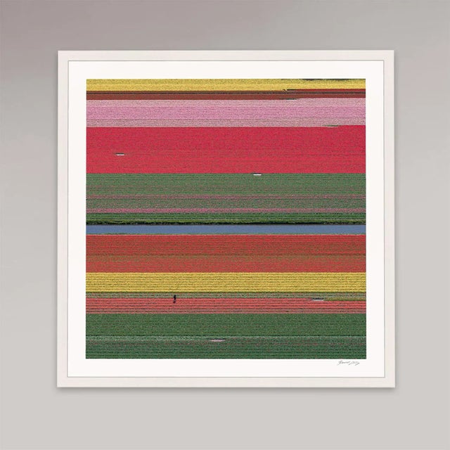 Contemporary "AV_Tulip_Fields_036" Contemporary Aerial View Limited Edition Photograph by Bernhard Lang For Sale - Image 3 of 11