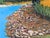Contemporary realistic Texas landscape nature painting by Houston based artist Jerry Greenberg. The work features a bright...