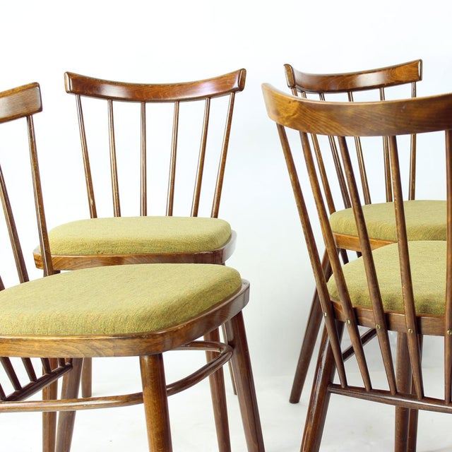 Mid-Century Modern Dining Chairs by Tatra, Czechoslovakia, 1960s, Set of 4 For Sale - Image 3 of 17