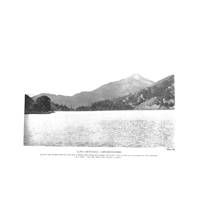 "The Lonsdale Library: Trout Fishing From All Angles" 1929 Taverner, Eric For Sale In New York - Image 6 of 11