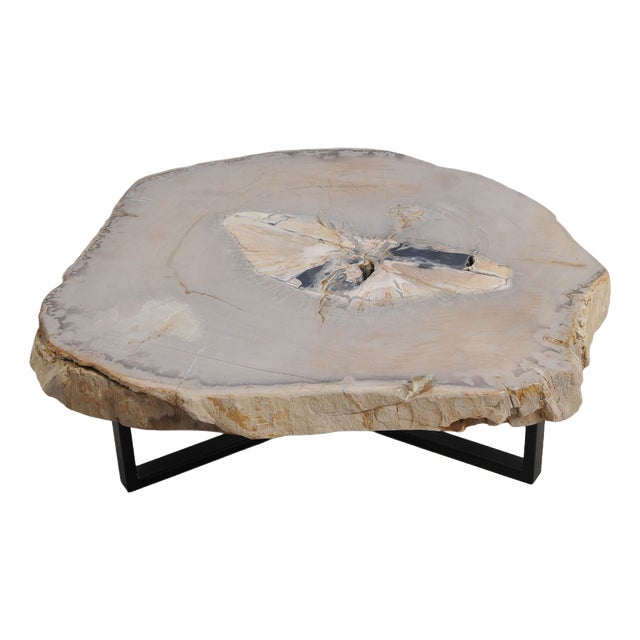 Petrified Wood Coffee Table by Xyleia Petrified Wood For Sale