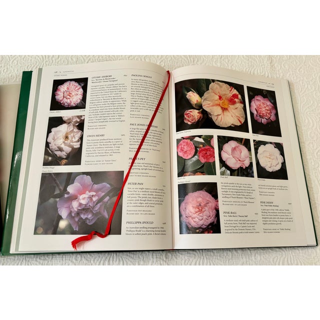 Paper 1990s Sterling Macaboy"s "The Illustrated Encyclopedia of Camellias" For Sale - Image 7 of 9