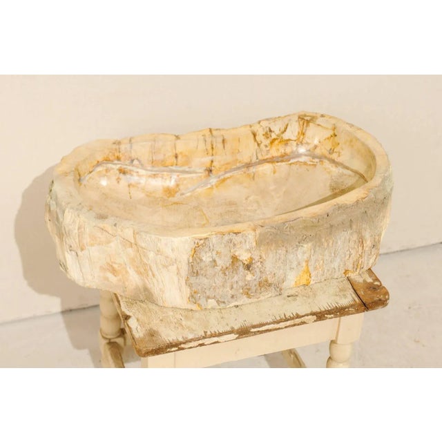 A cream and beige color petrified wood sink. This petrified wood sink features a kidney bean shape. The sink is primarily...