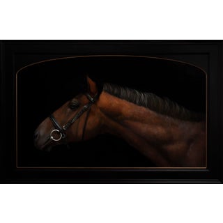 Fortification by Che Leviathan | Oil on Panel Portrait of a Horse's Head For Sale
