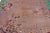 Antique Chinese Art Deco Rug - Plum & Jade Green Floral Wool 9x12 For Sale - Image 9 of 12
