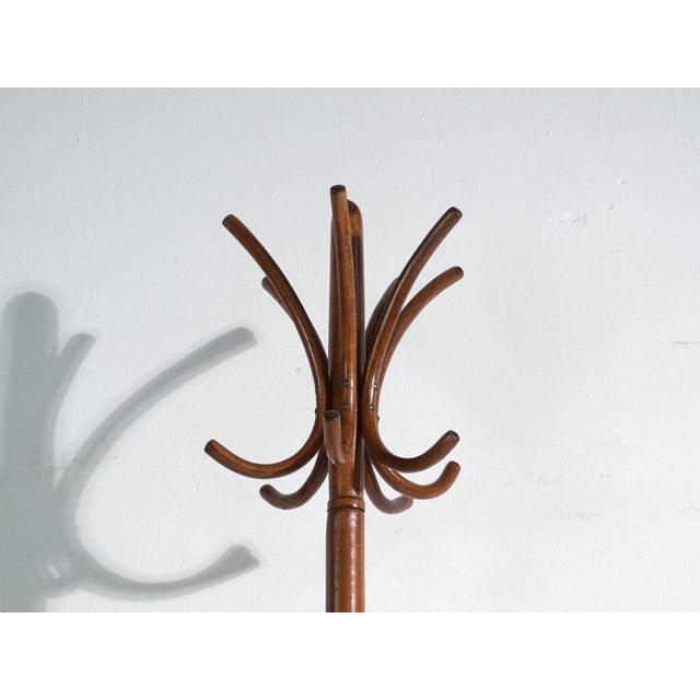 Bentwood coat stand in beechwood – austria-hungary, thonet style, circa 1900, close to thonet model 10401, of straight...