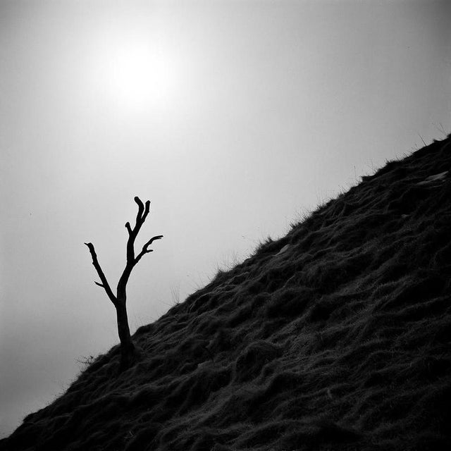 Not Yet Made - Made To Order Paul Cooklin, Tree, Castleton, Peak District, Edition of 50 For Sale - Image 5 of 5