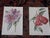 Realism Authentic Antique 19th Century Edward Hulme Botanical "Garden Flowers" Lithographs - Set of 12 - Super Price! For Sale - Image 3 of 9