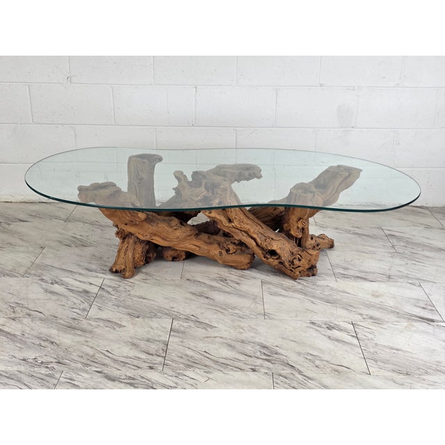 Mid 20th Century Olive Root Driftwood Coffee Table For Sale - Image 9 of 12