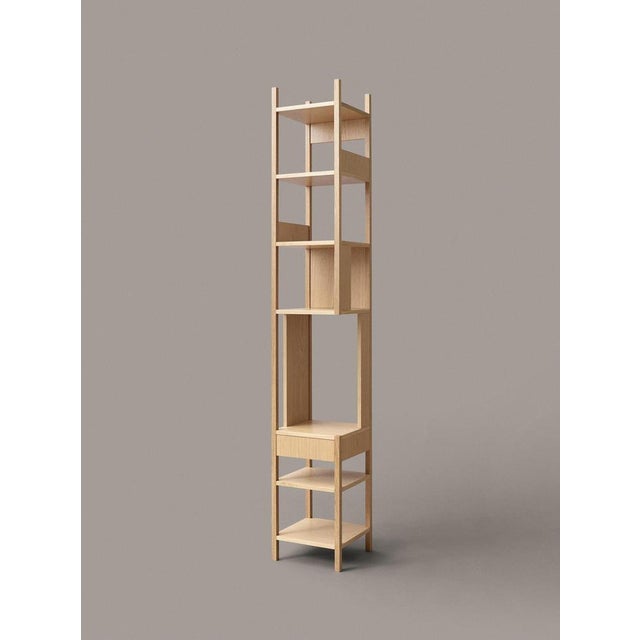 Wood Lungangolo Shelves by Achille Castiglioni for Karakter, Set of 3 For Sale - Image 7 of 13