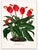 A striking mid-19th century botanical lithograph in an impressive double-page folio format—richly hand-colored and highly...