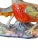Vintage Large Italian Colorful Glazed Porcelain Pheasant Couple Sculpture For Sale - Image 12 of 13