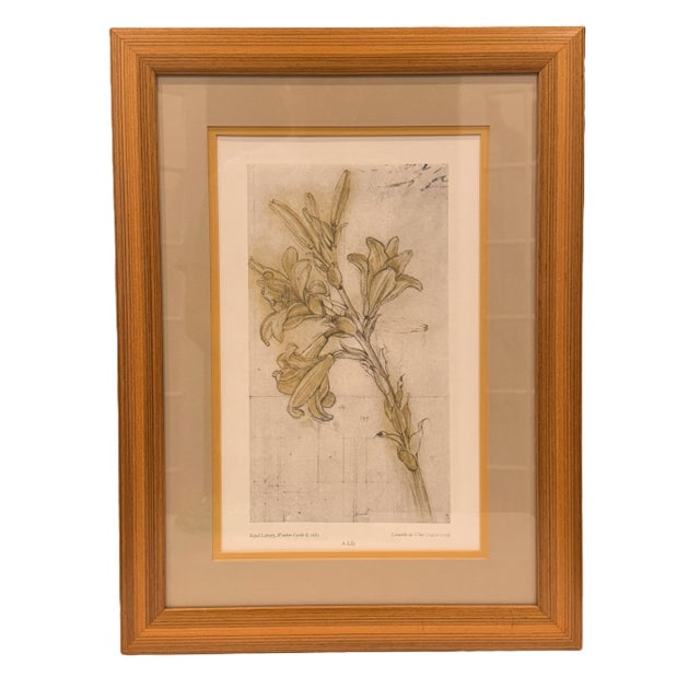 Celebrate the genius of the Renaissance with this elegant framed reproduction of "A Lily" by Leonardo da Vinci...