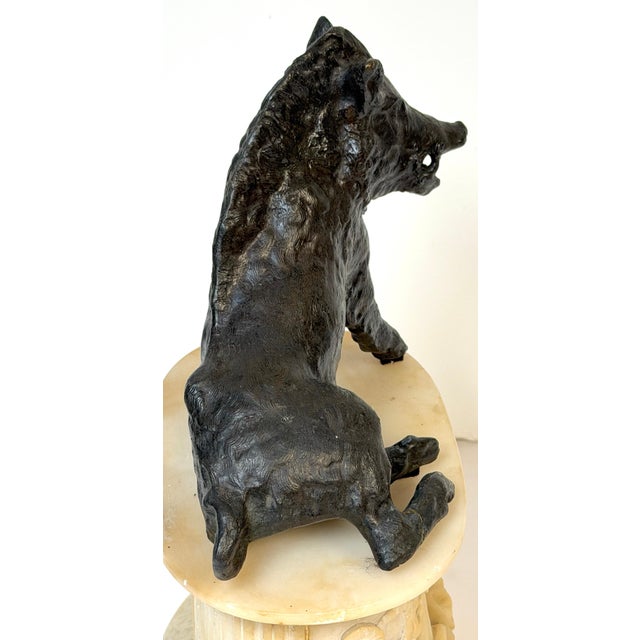 Grand Tour Bronze Reduction Il Porcellino “Borghese Boar” Carved Alabaster Base For Sale - Image 16 of 18