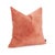 Pillow 20 x 20 Pana Terra - Down Insert For Sale In Chicago - Image 6 of 11